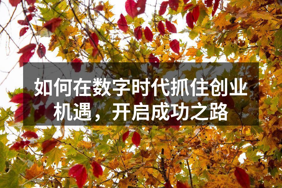 如何在数字时代抓住创业机遇，开启成功之路