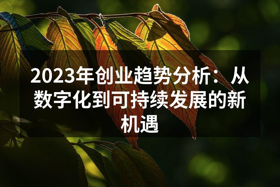 2023年创业趋势分析：从数字化到可持续发展的新机遇