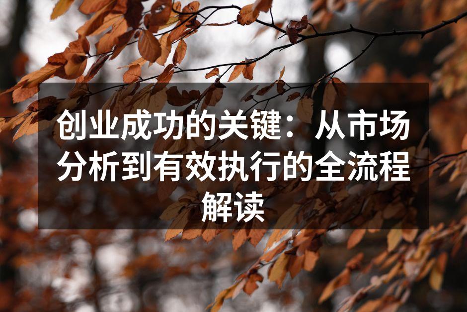 创业成功的关键：从市场分析到有效执行的全流程解读